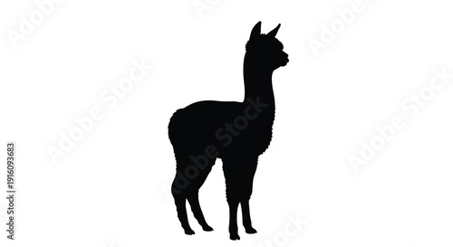 A striking black silhouette of an alpaca standing gracefully silhouette