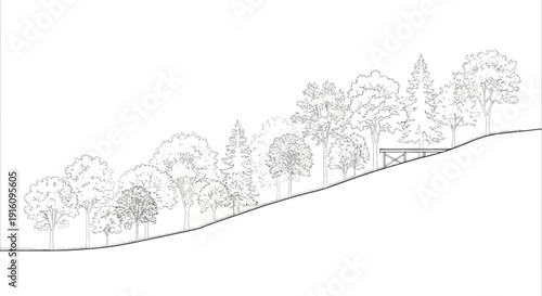 Architectural Line Art Elevation of a Sloping Hillside with Various Tree Species Outlines