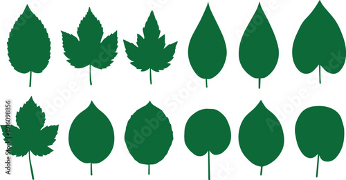 Collection of various green leaf shapes and silhouettes