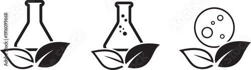 Botanical illustration of seed germination stages