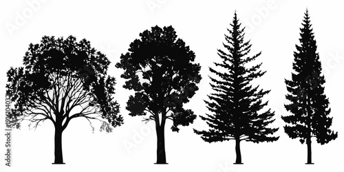 Silhouettes of diverse trees oak fir and pine against a white background