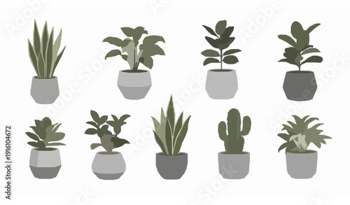 Minimal Scandinavian houseplant vector set modern potted plants