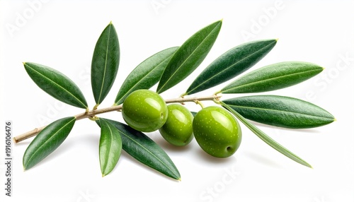 Wallpaper Mural Olive Branch with Green Olives on White Background for Mediterranean Diet Concepts and Healthy Lifestyle Images. Torontodigital.ca