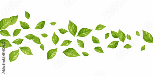 A scattering of vibrant green leaves on a plain white background