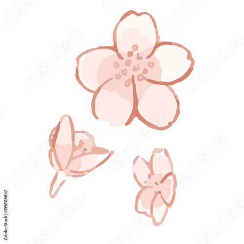 手書き風の桜のイラスト