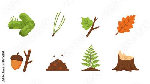 Nature elements set: flat style leaves, branches, and natural objects collection
