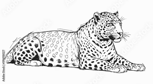 Leopard Illustration Lying Down with Spots.