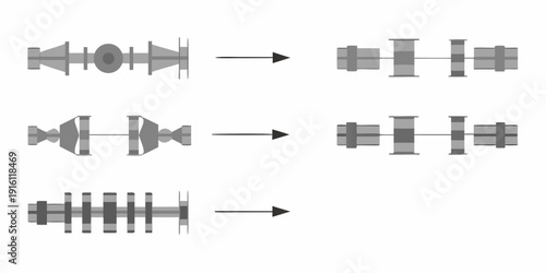 Diagram illustrating the evolution of whale ear structures over time