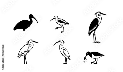 Minimal shorebird and ibis silhouette icon set coastal wildlife vector