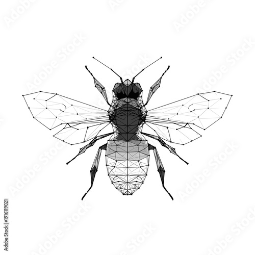 Geometric bee illustration with polygonal wireframe structure and abstract symmetric wings in modern minimal vector style isolated on light background