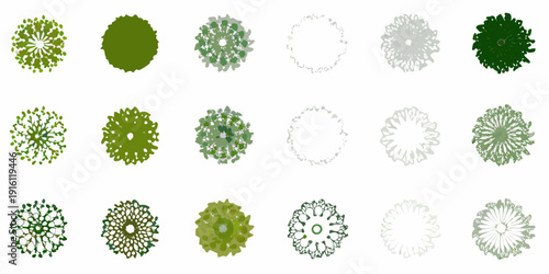 A collection of aerial views depicting various tree crown shapes and densities