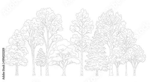 vector illustration of a tree