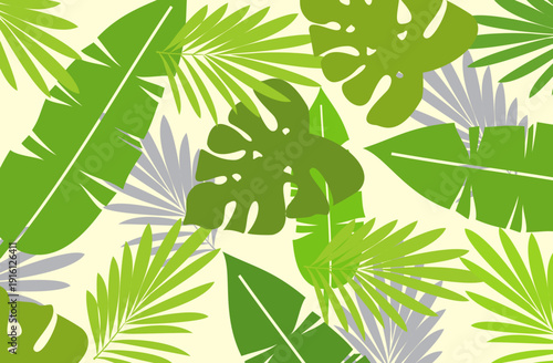 Leaves background with summer fun design concept, abstract illustration with exotic jungle leaves, colorful design, summer background, tropical leaves.Tropical leaf background, palm leaves, monstera