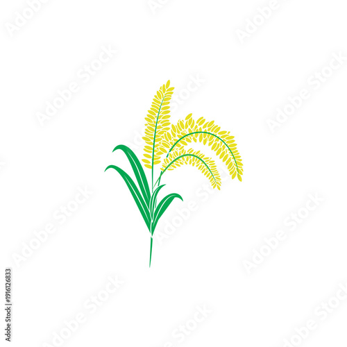 Rice plant vector illustration isolated on white background. Paddy grain icon for agriculture, farming, harvest, organic food and agribusiness design.