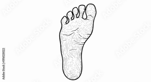 Detailed Outline Drawing of a Human Foot Sole.