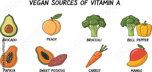 Vegan Sources of Vitamin A Illustration with Avocado, Peach, Broccoli, Carrot, Mango, and Healthy Plant Based Food Vector