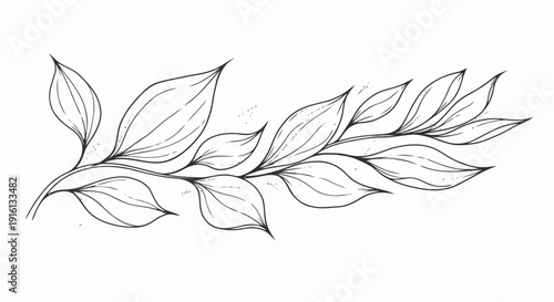 Hand Drawn Leaves Branch Illustration.