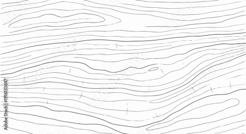 Topographic Map Lines on White Background.