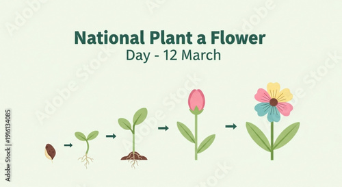 National plant a flower day on march 12 colorful illustration of flower growth stages