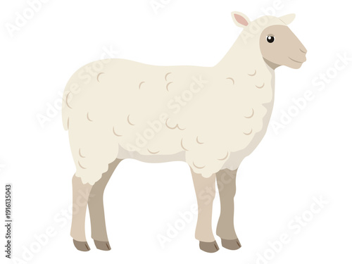 Flat color sheep, side view. Vector illustration isolated on a white background