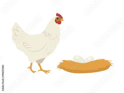 Flat color chicken standing near a nest with eggs, side view. Vector illustration isolated on a white background