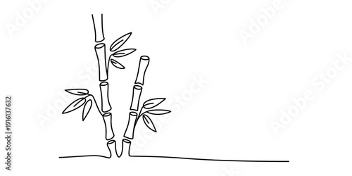 Minimalist hand drawn black and white line art illustration of bamboo stalks with leaves Vector, illustration