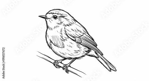 Small Bird Perched on Branch Illustration.