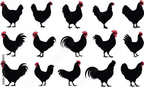 Black chicken and rooster silhouette set with red combs for poultry farm agriculture organic livestock and nature