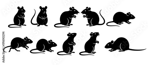 set of rats silhouettes, set of mouse black and white vector, Mouse Rat Silhouette,