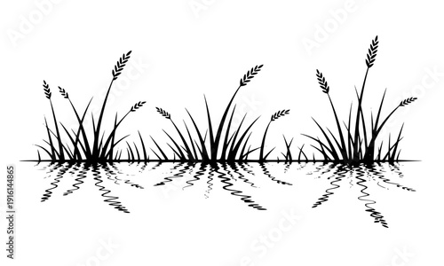 Grass and wheat stalks silhouette with mirror reflection border, black nature meadow plant divider element for landscape ecology and environmental design illustration