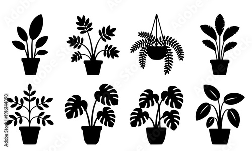 Potted houseplant silhouette set with monstera hanging basket snake plant and tropical indoor foliage, home garden botanical collection for interior decor and nature design illustration