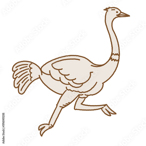 line art ostrich illustration