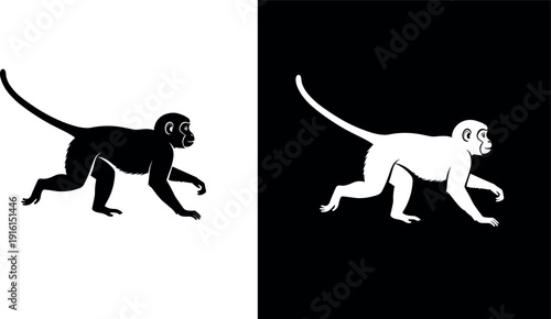 Monkey silhouettes vector, walking monkey illustration, primate artwork, black and white design, wildlife background, exotic animal icon, nature scenery