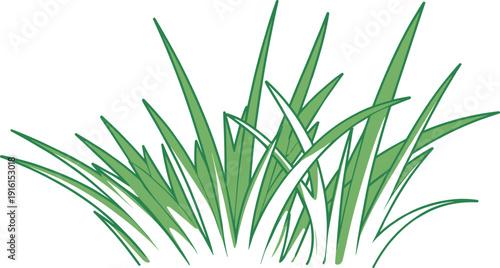 Green Grass Blades Illustration with Outline on White Background drawing
