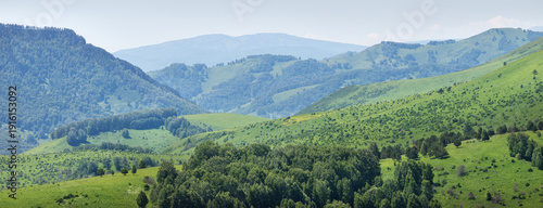Green meadows and forests, spring, evening light, hilly countryside, panoramic