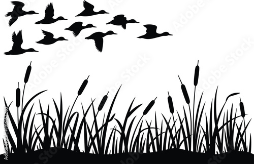 Duck Flock Silhouette Flying Over Cattails and Grass on White Background ducks birds