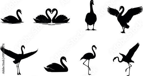 Swan flamingo crane silhouettes vector, bird illustration, wildlife artwork, black and white design, nature background, elegant animal art, decorative scenery