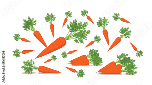 Dynamic and fresh arrangement of whole orange carrots with green leafy tops scattered across a white background for healthy food design themes.