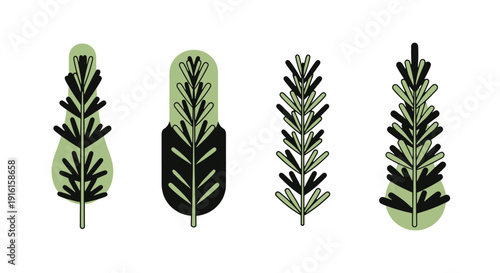 Rosemary Plant Line modern smooth tone vector