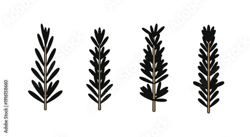 Rosemary Plant Line abstract vivid tone vector