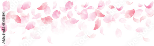 手描き　水彩 春の風に舞い散る桜の花びら 背景フレーム