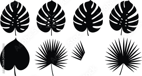 Black and white stylized leaf patterns in symmetrical arrangements isolated on transparent background, Vector