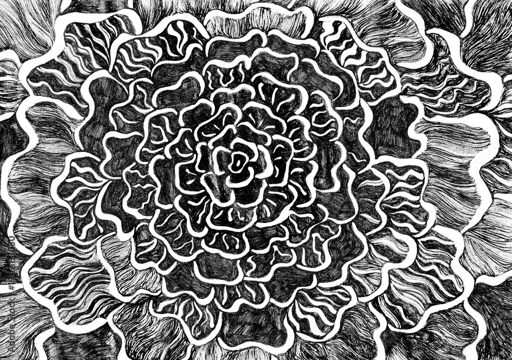 Fototapeta premium Abstract drawing of a large flower, resembling rose or carnation. Created by hand with white lines on solid gray, black texture background, giving image distinct graphic style. Crumped paper texture.