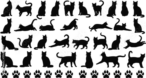Diverse black cat silhouettes in various playful and resting poses Keywords: cat, feline, animal, pet, kitten, domestic cat
