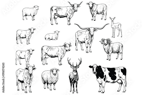 Collection of Farm Animals and Wildlife in Black and White Sketch Style vector illustration