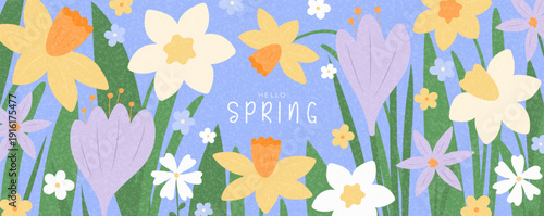 Beautiful background Hello Spring. Trendy vector illustration with spring blooming flowers crocuses, daisies, narcissus. Floral background for design seasonal holiday, ads, branding, cover, card.