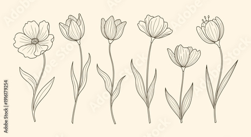 Hand-drawn set of minimalist floral line art, showcasing various flower types with subtle details and natural stems on a light background.