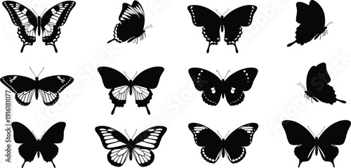Detailed Butterfly Silhouette Collection with Decorative Wing Patterns for Nature, Wildlife, Spring, Tattoo, and Elegant Design Projects