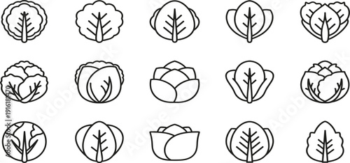 : Cabbage and Lettuce Vegetable Line Icon Set with Organic Farm Fresh Greens for Healthy Food, Agriculture, Vegan Diet, and Grocery Design Projects