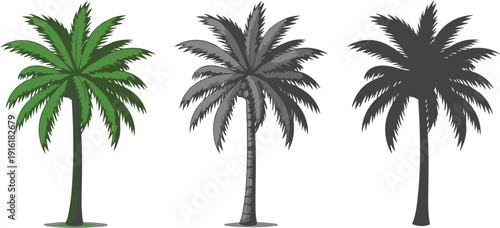 Three palm trees in different shades of green and gray